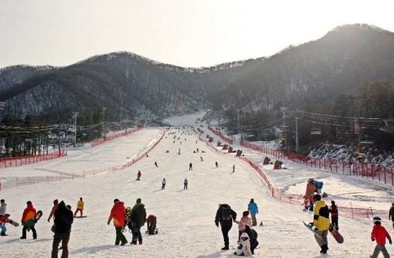 지산리조트, 스키장 오픈 기념 다양한 할인 이벤트 마련