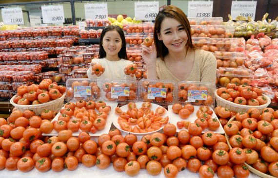 롯데마트,캄파리 토마토 출시