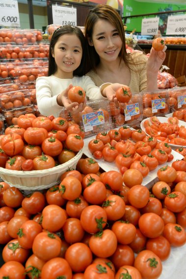 롯데마트,캄파리 토마토 출시
