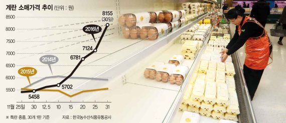 계란 대란.. 한판에 1만원 현실화