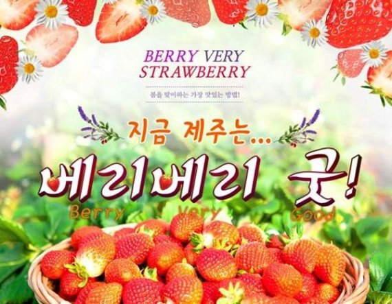 제철 맞은 제주 딸기 베리 베리 굿 이벤트