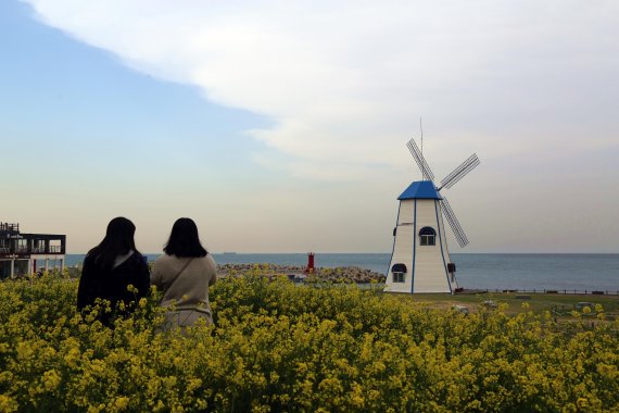 [yes+ Leisure] 겨울이 훌쩍 떠난 간월재, 분홍 물결 일렁일렁
