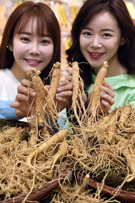 롯데마트, 금산 햇인삼 판매