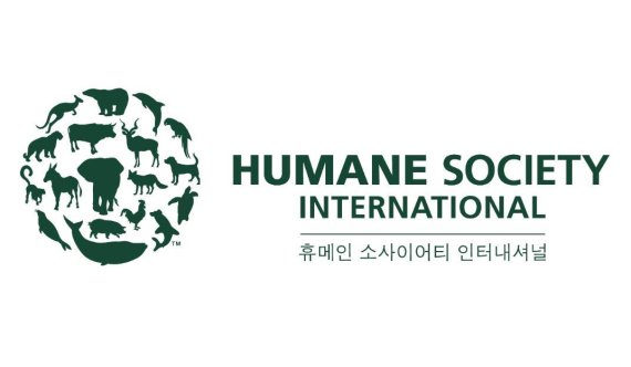 HSI 동물대체시험 촉진 위한 살생물제법 개정안 발의 환영