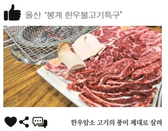 [설 고향의 맛] # 설연휴 내 고향 숨은 맛집