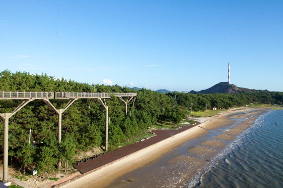 서천 송림산림욕장 일원 ‘휴양·체험관광 거점’된다