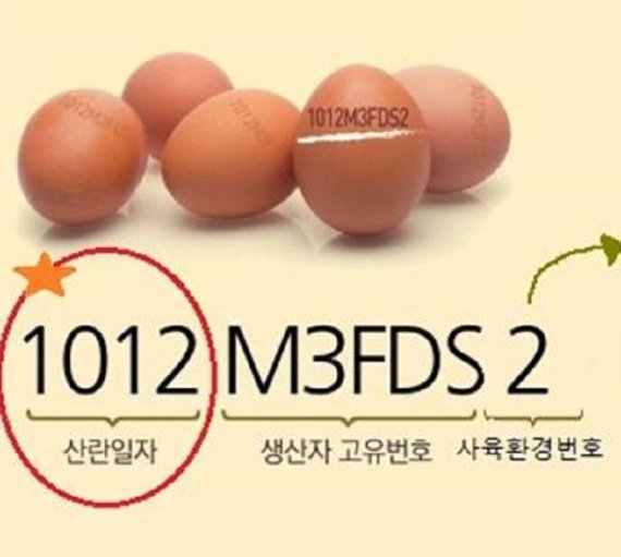 강원도, 농장〜식탁까지 안전한 계란 생산·유통체계 구축