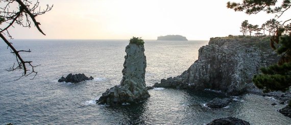 서귀포시 치유의숲·올레7코스·서복전시관·성산일출봉, 공통점은?