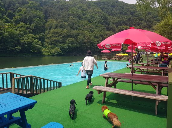 멍비치, 경기도 청평에 12일 신규 오픈..물놀이 하러 오세요