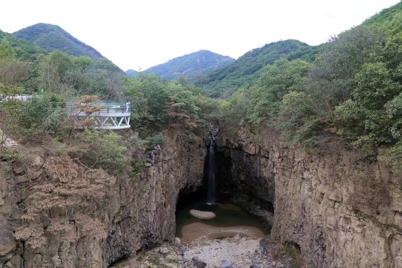 가을, 해바라기 들녘과 함께하는 언택트 연천 여행