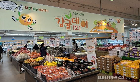 제주농협 하나로마트 48곳 ‘감귤데이’ 기획판매전