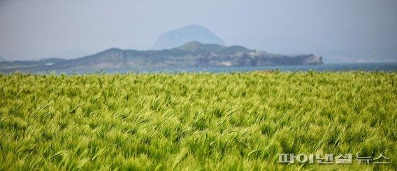 느림·생태·간세다리…제주관광공사, ‘슬로우 로드’ 서비스