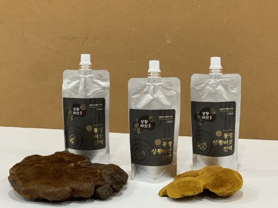 동명대 산학협력으로 면역증진 상황버섯 진액 시판