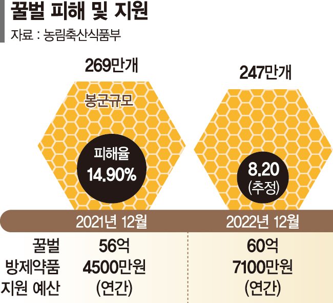 응애 피해 양봉농가 긴급 수혈