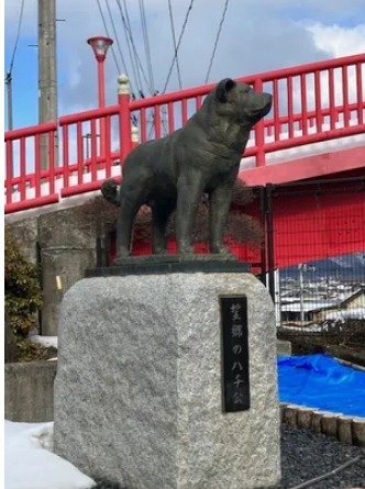 101살 충견 하치와 시부야 [김경민의 도쿄 혼네]