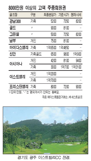 주중 골프회원권도 억소리