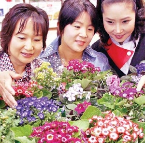 [반갑다 봄세일] 새봄맞이 집단장 해 볼까‥그린·오렌지색 커튼으로 화사하게