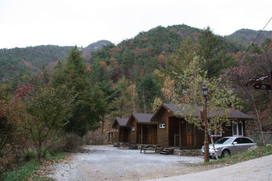 [대전·충청]속리산 자연ㆍ문화를 홍보하는 국립자연휴양림