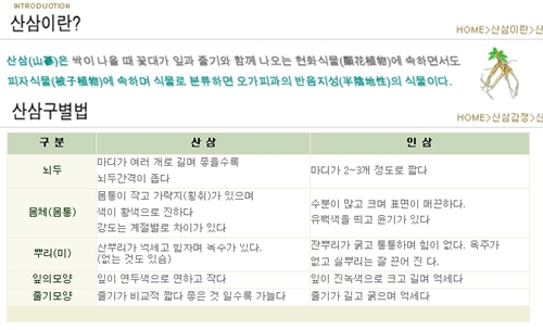 지리산 산삼 83뿌리나 발견돼…심마니 아닌 일반인 심봤다!