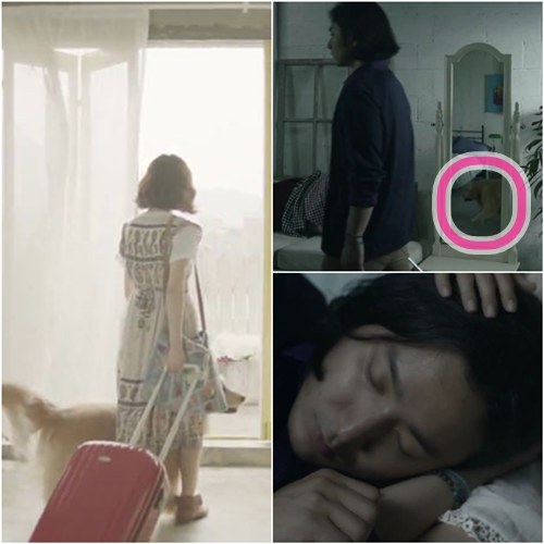 버벌진트 충분히 예뻐 M/V 충격 반전! 버벌진트, 알고보니 개라고?
