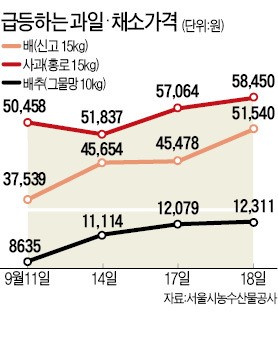사과·배 값 1주일새 20% ↑… 낙찰 부담돼요