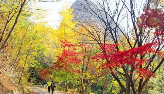 울긋불긋 풍경 사이로 우뚝 선 마이봉…