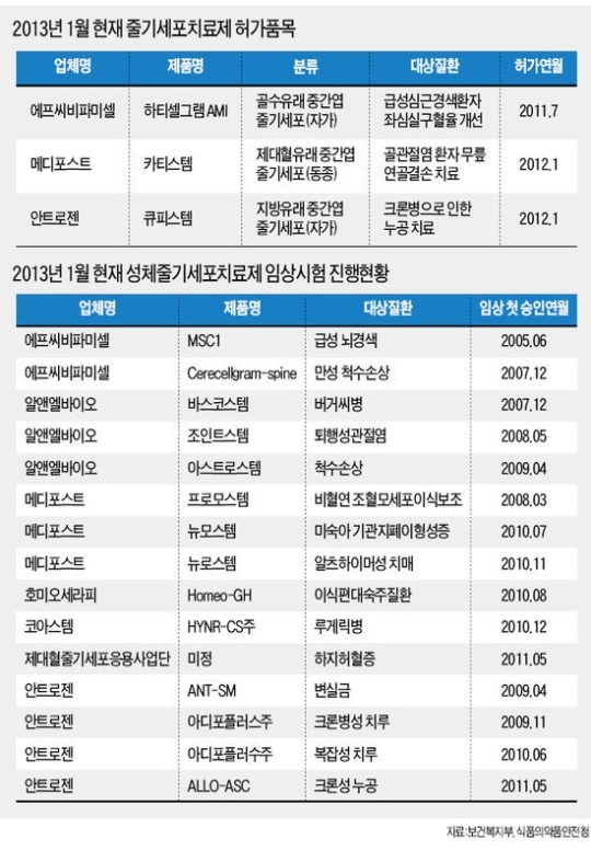줄기세포 치료 어디까지 왔나…파미셀 등 3곳, 허가 받고 치료제 판매