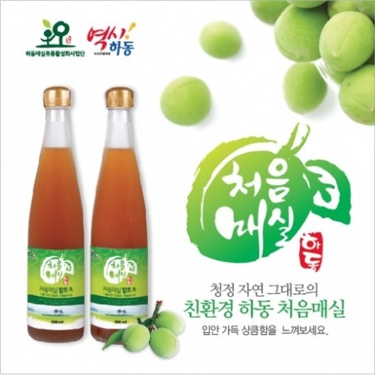 [2013대표브랜드] 섬진강 줄기따라 천혜의 자연조건을 갖춘 처음매실