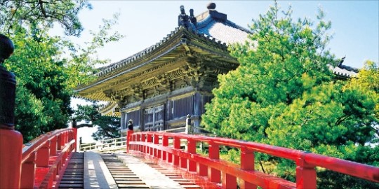 [Travel] 바람에 실린 솔향 가득…힐링의 섬을 품다