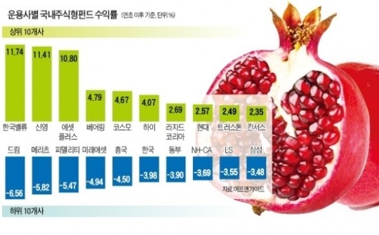 운용사 수익률 보니…한국밸류·신영·에셋플러스 최고