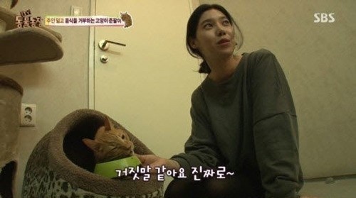 ‘동물농장’ 배다해 우울증 고양이 입양, 네티즌 “감동적이야”