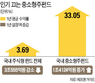 중소형주 펀드의 대약진