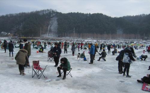 평창송어축제, 금일 31일부터 송어 얼음낚시 손맛 느낄 수 있을 것