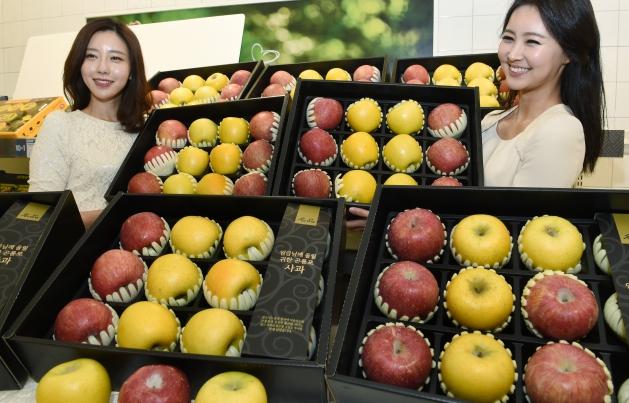 롯데마트, 임금님이 먹었던 황금사과 선보여