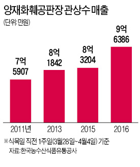 미세먼지 정화용 커피·이팝나무 잘 팔려요