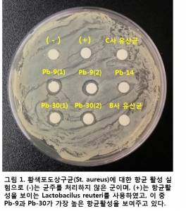 네오리젠바이오텍-코메드생명과학 천연 항균활성 종균 확보