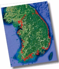 [여행의 향기] 동해~남해~서해, 걸어서 4500㎞…코리아 둘레길 해안 따라 두 발로 전국 한바퀴