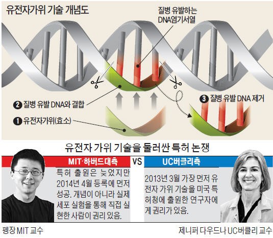 수조원 가치 유전자가위 전쟁…MIT·하버드 웃었다
