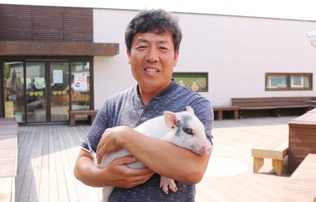 [한경·네이버 FARM] 돼지를 6개월 아닌 열 살까지 키우는 이천 돼지 아빠