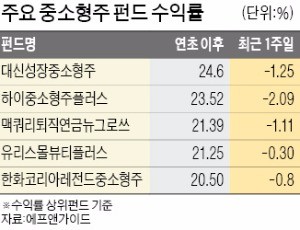 중소형주 지난해 악몽 재연되나