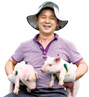 [한경·네이버 FARM] 정원 품은 축사에서 꽃돼지들 키워요