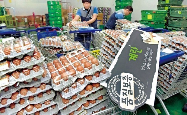 [현장+] 이 판국에 누가 계란 사요…다른 먹거리는 괜찮나요