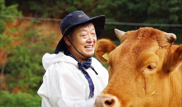 42년 한우명인… 마블링 없는 2~3등급 소만 키우는 까닭