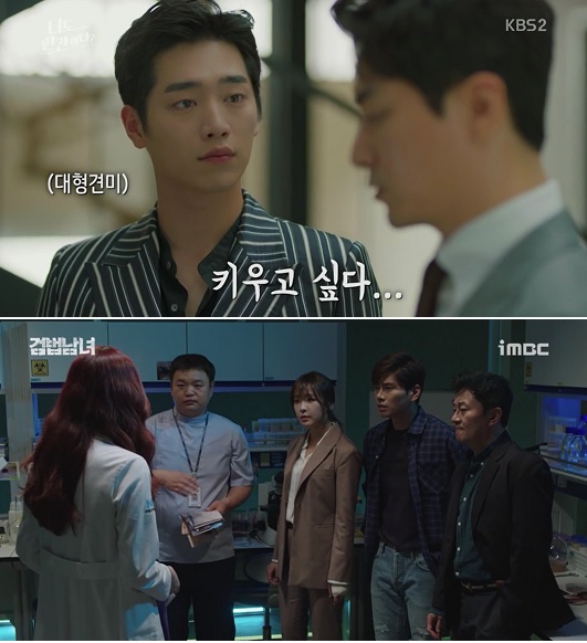 16강 브라질-멕시코전 중계...월화드라마 ‘검법남녀’, ‘너도 인간이니’ 결방