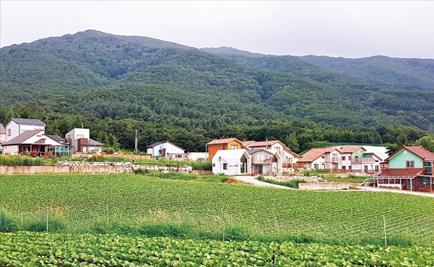宗中 부동산 소유권 분쟁 휘말리기 前, 친인척 공동명의로 돌려놔야