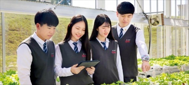 한국디지털미디어高서 스마트팜 지은 까닭은