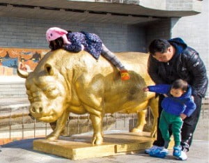 흑돼지의 고향 제주, 청주 삼겹살거리…내년엔 돼지보러 오면 돼지~ 