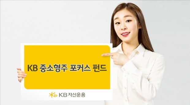 KB중소형주포커스, 시장에 휘둘리지 않고 저평가 중소형주 발굴