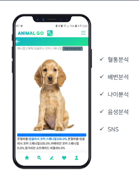 사진만으로 반려동물 건강상태 예측하는 어플리케이션 ‘애니멀고’ 주목