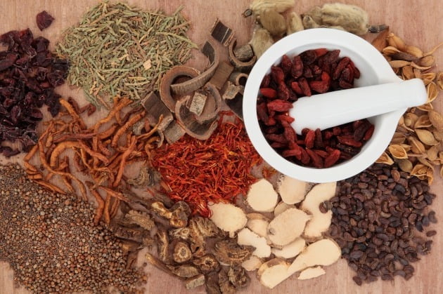 80대 할머니, 초오 끓여 마시다 사망…과거 사약 재료였다?